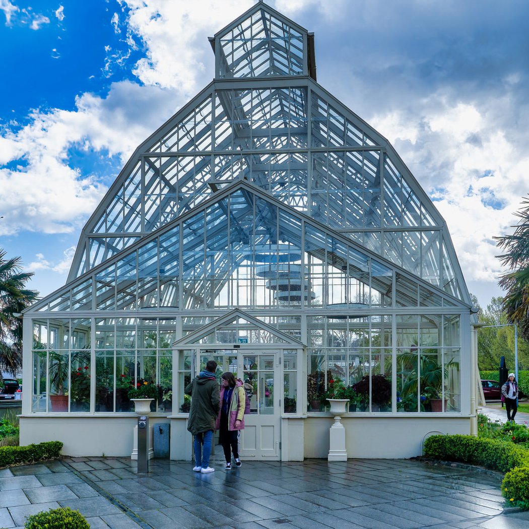 Bees 5